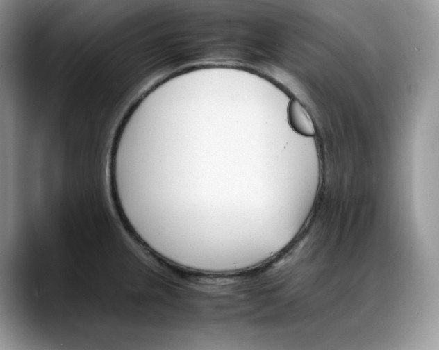 X0000088091237200706081743