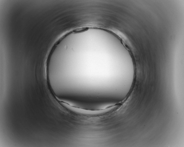 X0000088091238200706081743