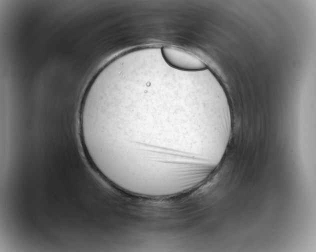 X0000088091239200706081743