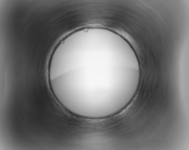 X0000088091240200706081743