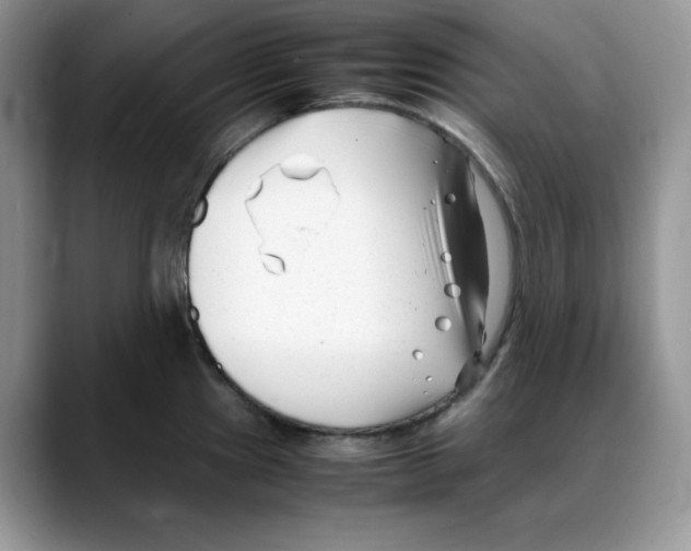 X0000088091241200706081743