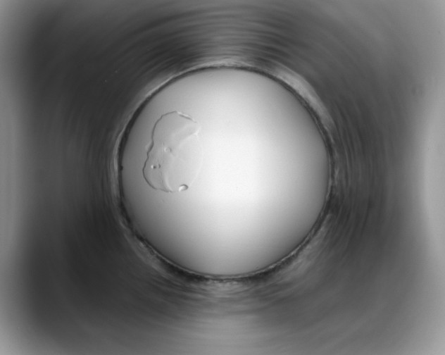 X0000088091242200706081744