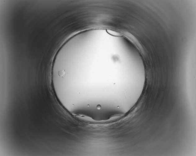 X0000088091244200706081744