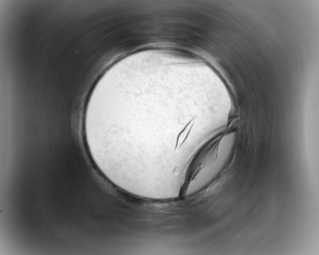 X0000088091245200706081744
