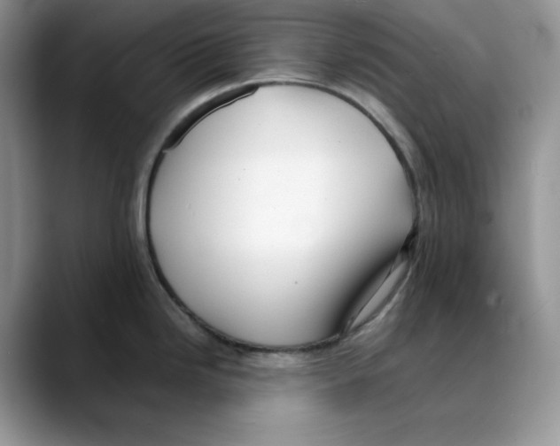 X0000088091246200706081744