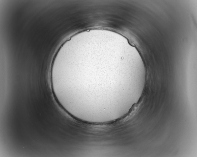 X0000088091247200706081744