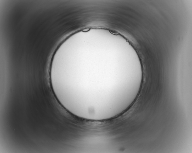 X0000088091248200706081744