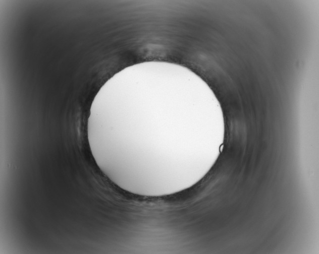 X0000088091250200706081743