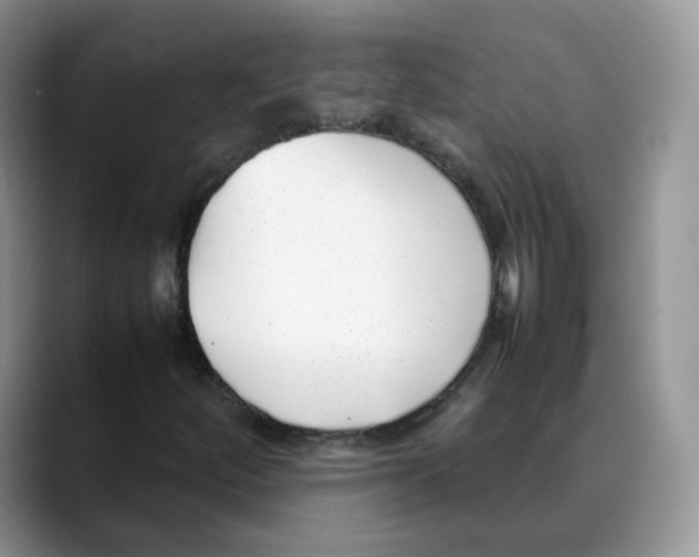 X0000088091252200706081743