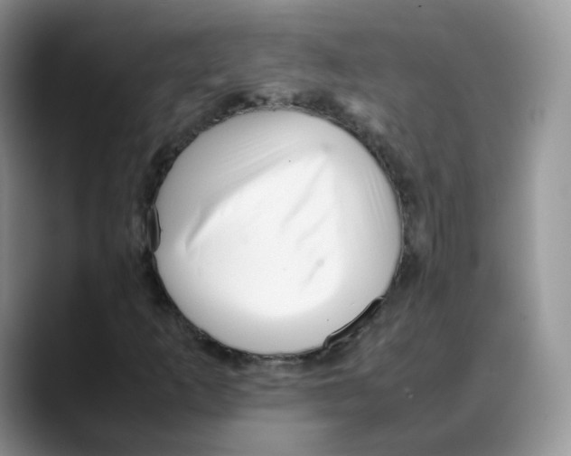 X0000088091253200706081743