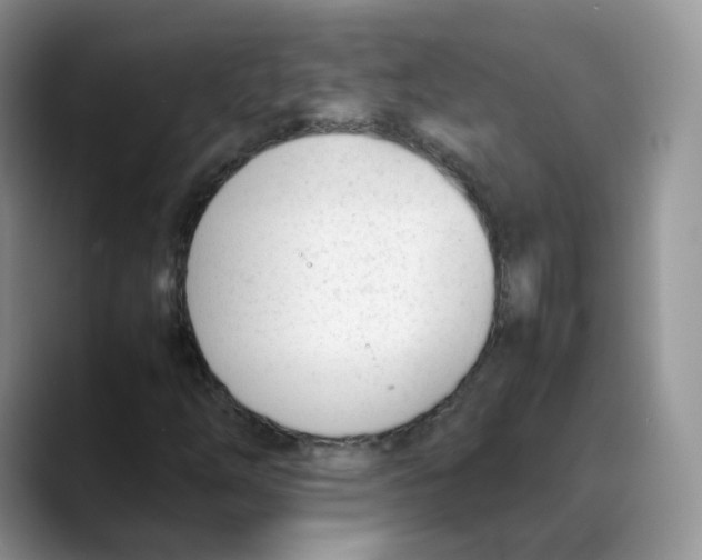 X0000088091254200706081743