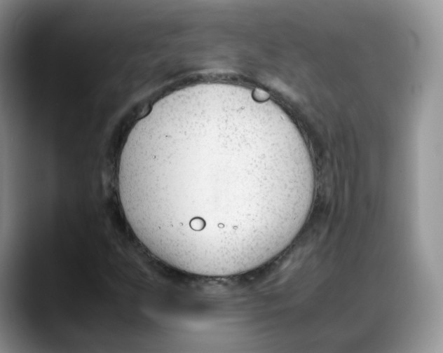 X0000088091255200706081743