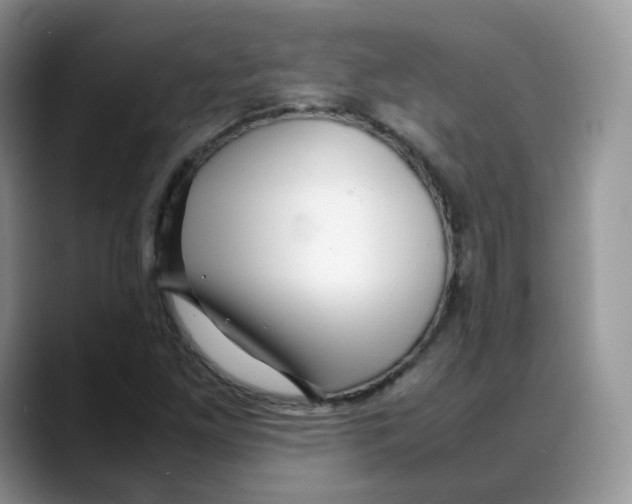 X0000088091261200706081743