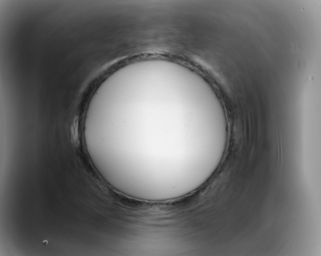 X0000088091262200706081743
