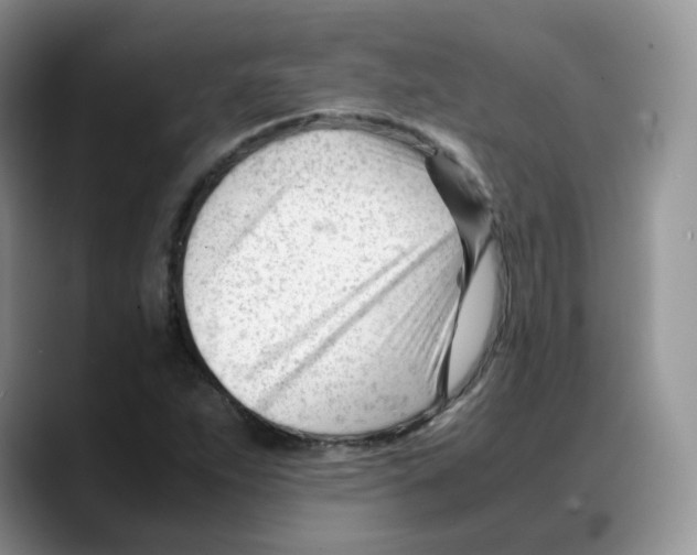 X0000088091263200706081743