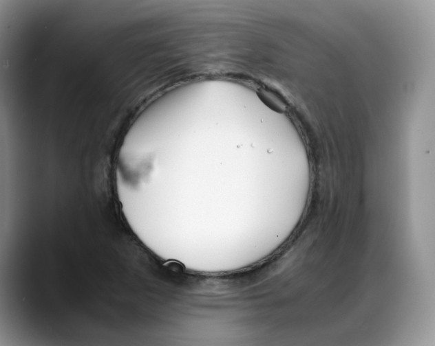 X0000088091265200706081743