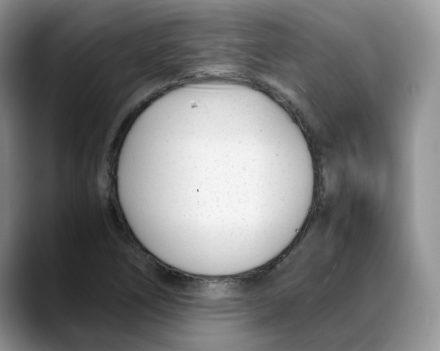 X0000088091266200706081743