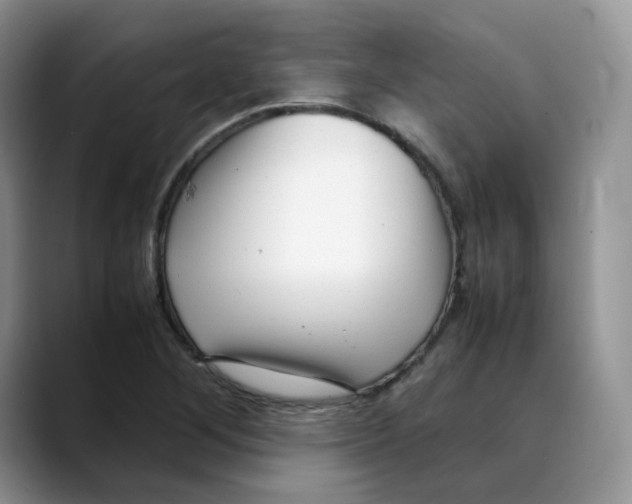 X0000088091268200706081743