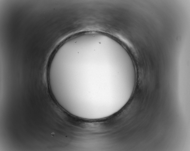 X0000088091272200706081743