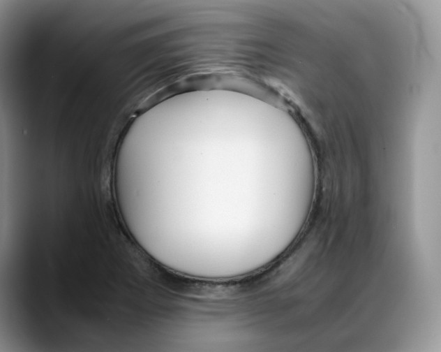 X0000088091273200706081743