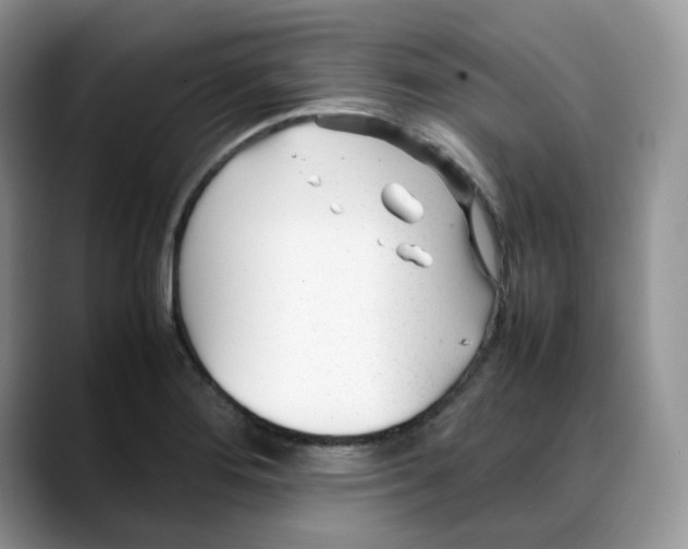 X0000088091276200706081743