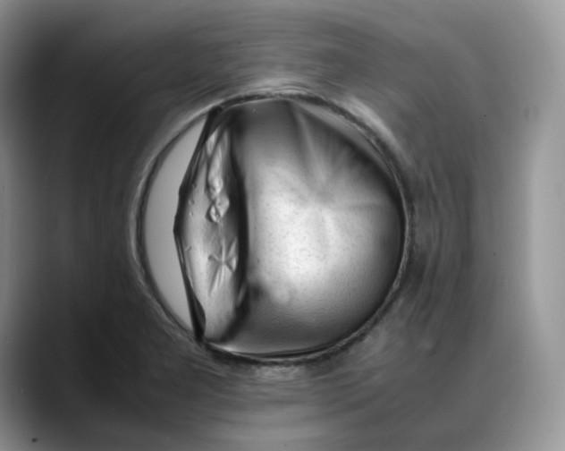 X0000088091277200706081743