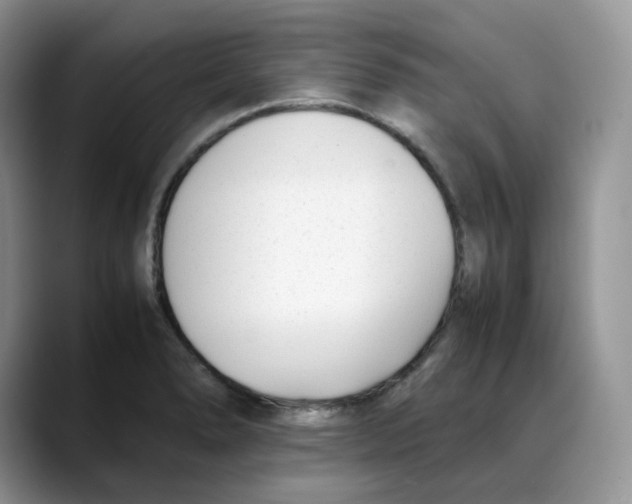 X0000088091278200706081743