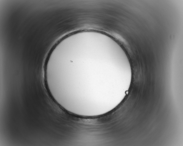 X0000088091280200706081743