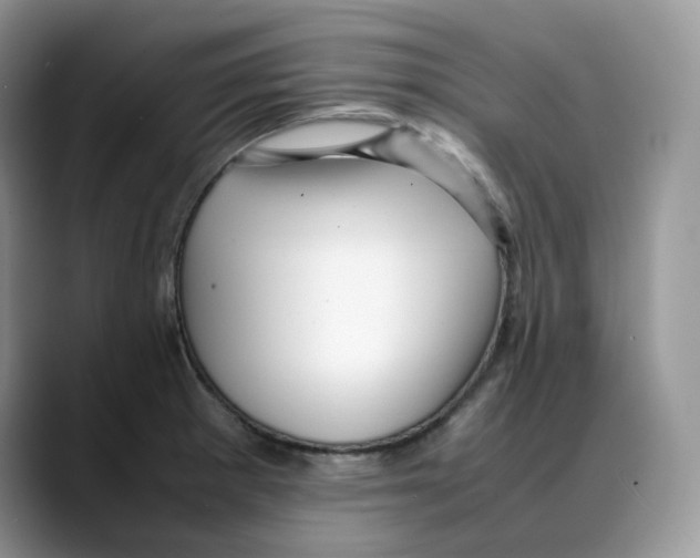 X0000088091281200706081743