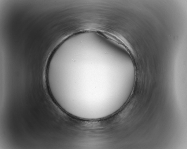 X0000088091285200706081742