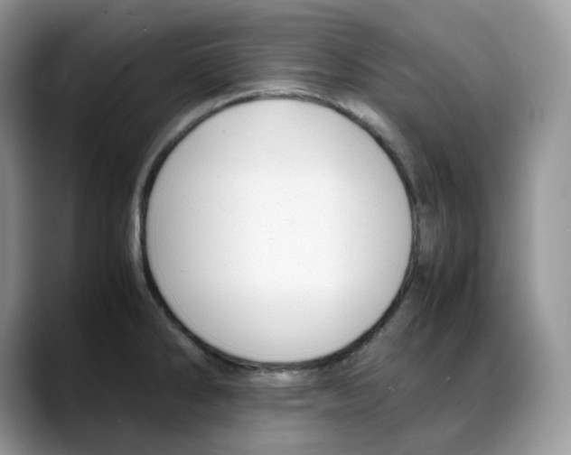 X0000088091286200706081742