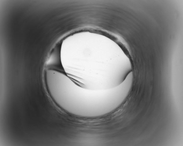 X0000088091287200706081742