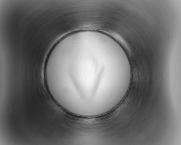 X0000088091288200706081742