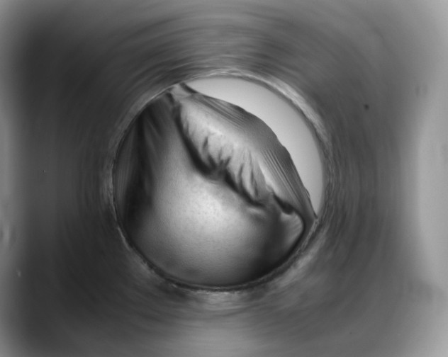 X0000088091289200706081742