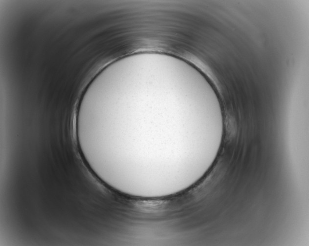 X0000088091290200706081742