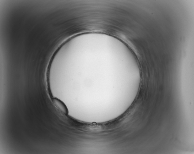 X0000088091291200706081742