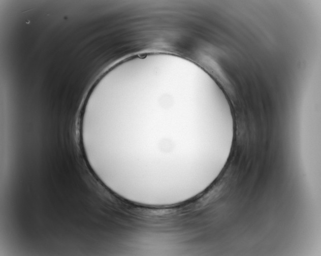 X0000088091292200706081742