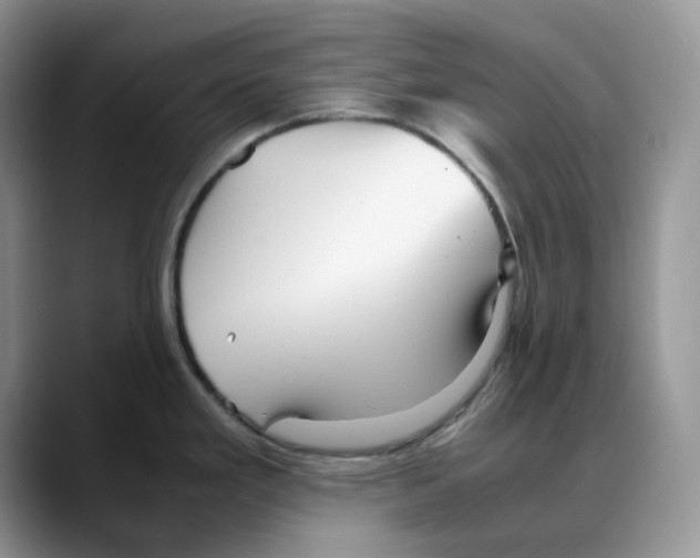 X0000088091293200706081742