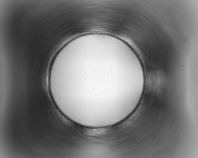 X0000088091294200706081742