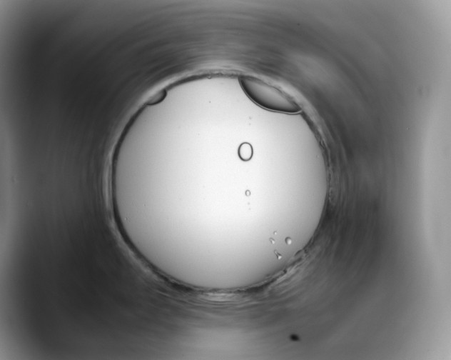 X0000088091295200706081742