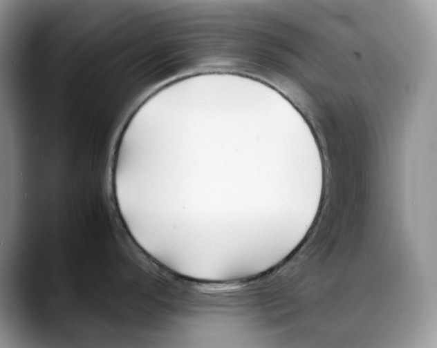 X0000088091296200706081742