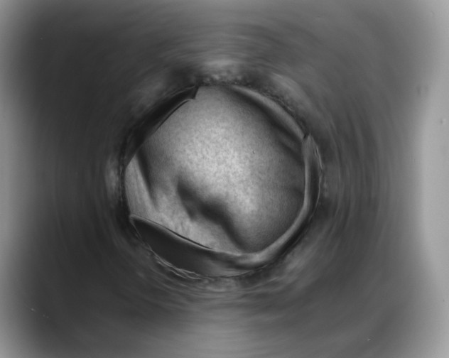 X0000088091298200706081742
