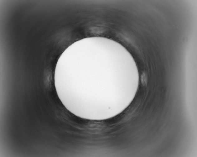 X0000088091299200706081742
