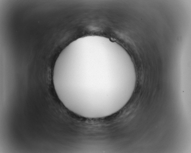 X0000088091301200706081742