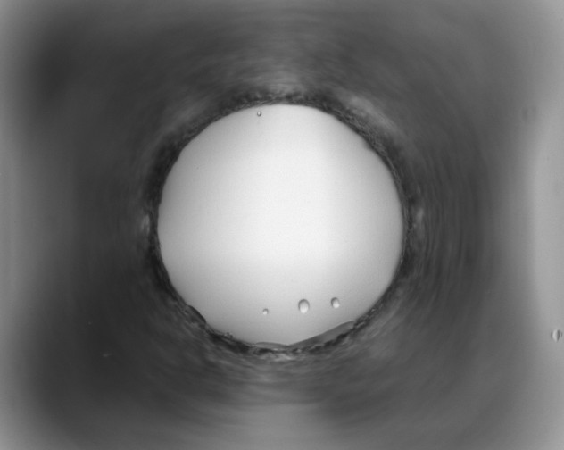 X0000088091302200706081742