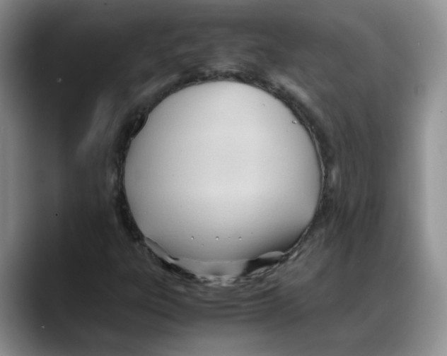 X0000088091303200706081742