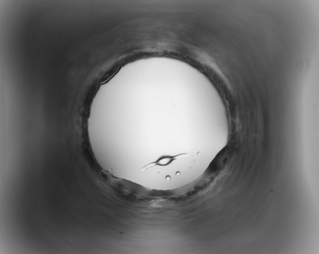 X0000088091304200706081742