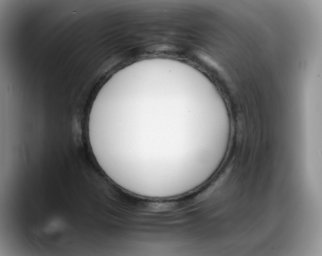 X0000088091305200706081742
