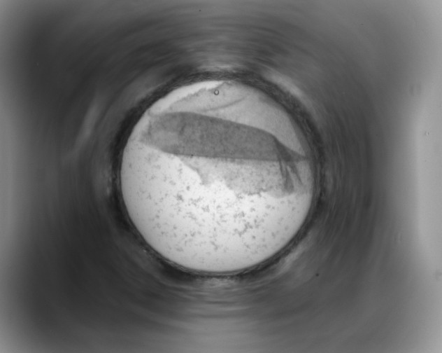 X0000088091306200706081742
