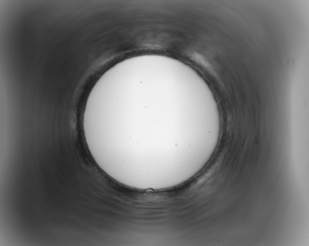X0000088091307200706081742